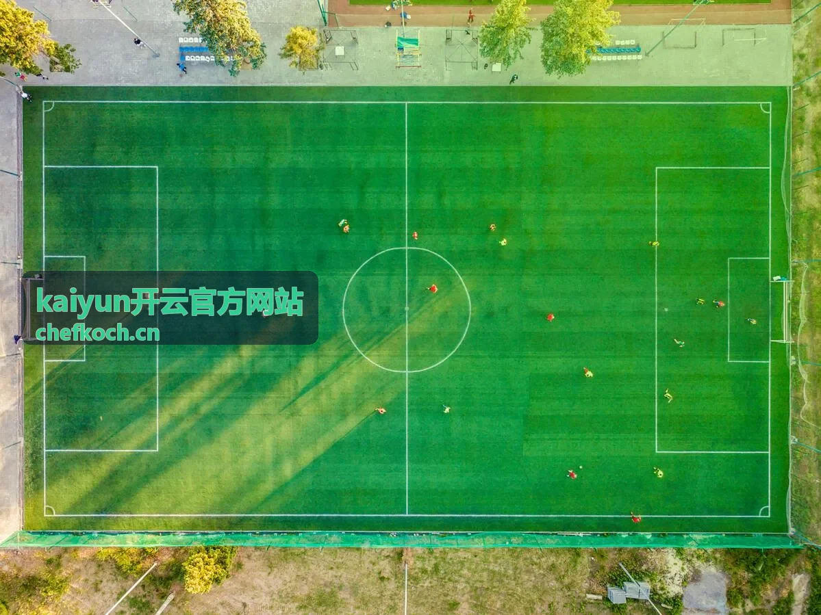 kaiyun开云官方网站 数据同步服务界面图