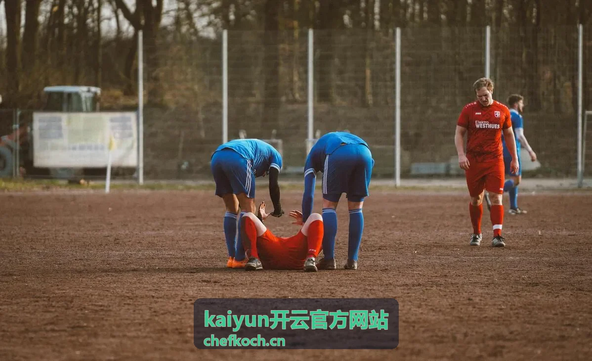 开云操作记录与数据导出