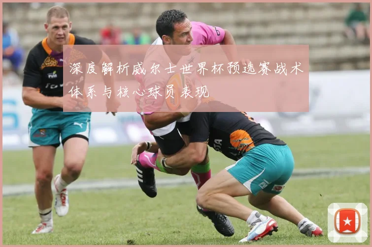 深度解析威尔士世界杯预选赛战术体系与核心球员表现