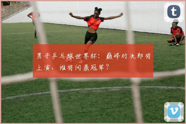 男子乒乓球世界杯：巅峰对决即将上演，谁将问鼎冠军？
