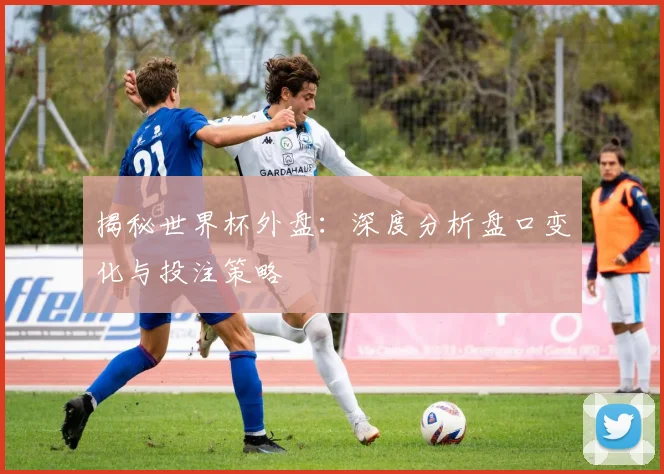 揭秘世界杯外盘：深度分析盘口变化与投注策略
