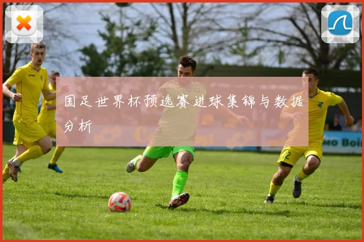 国足世界杯预选赛进球集锦与数据分析