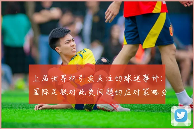 上届世界杯引发关注的球迷事件:国际足联对此类问题的应对策略分析