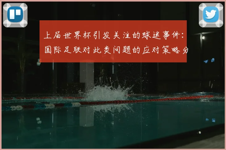 上届世界杯引发关注的球迷事件：国际足联对此类问题的应对策略分析